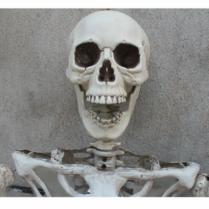 170Cm Halloween Poseable Skeleton Full Life Size Human Skeleton Decoration Prop