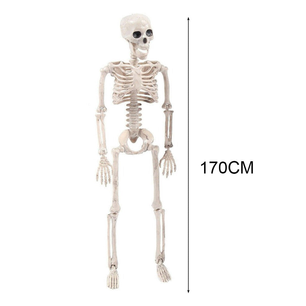 170Cm Halloween Poseable Skeleton Full Life Size Human Skeleton Decoration Prop