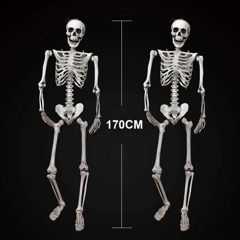 170Cm Halloween Poseable Skeleton Full Life Size Human Skeleton Decoration Prop