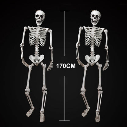 170Cm Halloween Poseable Skeleton Full Life Size Human Skeleton Decoration Prop
