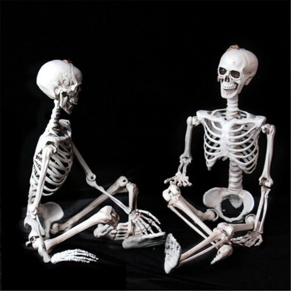 90Cm Halloween Poseable Skeleton Full Life Size Human Skeleton Decoration Props