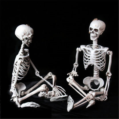 90Cm Halloween Poseable Skeleton Full Life Size Human Skeleton Decoration Props