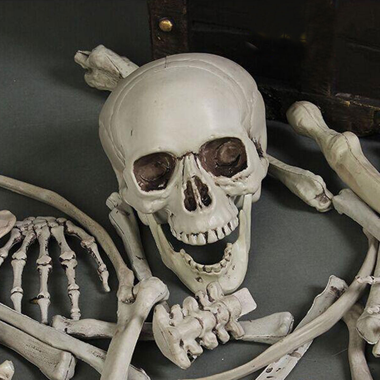 12PCS Halloween Skeleton Body Part Prop Bones Skull Graveyard Outdoor Decoration
