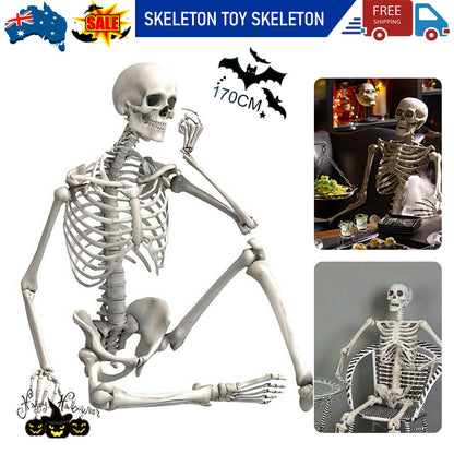 170Cm Halloween Poseable Skeleton Full Life Size Human Skeleton Decoration Prop