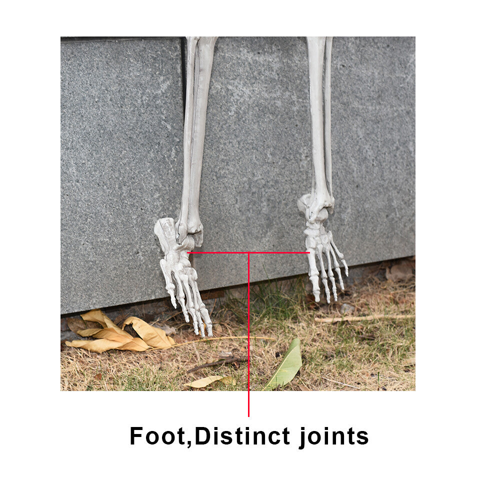 170Cm Halloween Poseable Skeleton Full Life Size Human Skeleton Decoration Prop