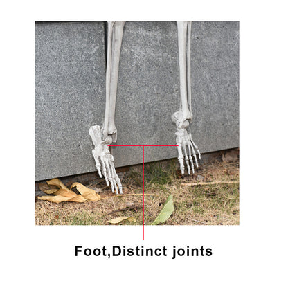 170Cm Halloween Poseable Skeleton Full Life Size Human Skeleton Decoration Prop