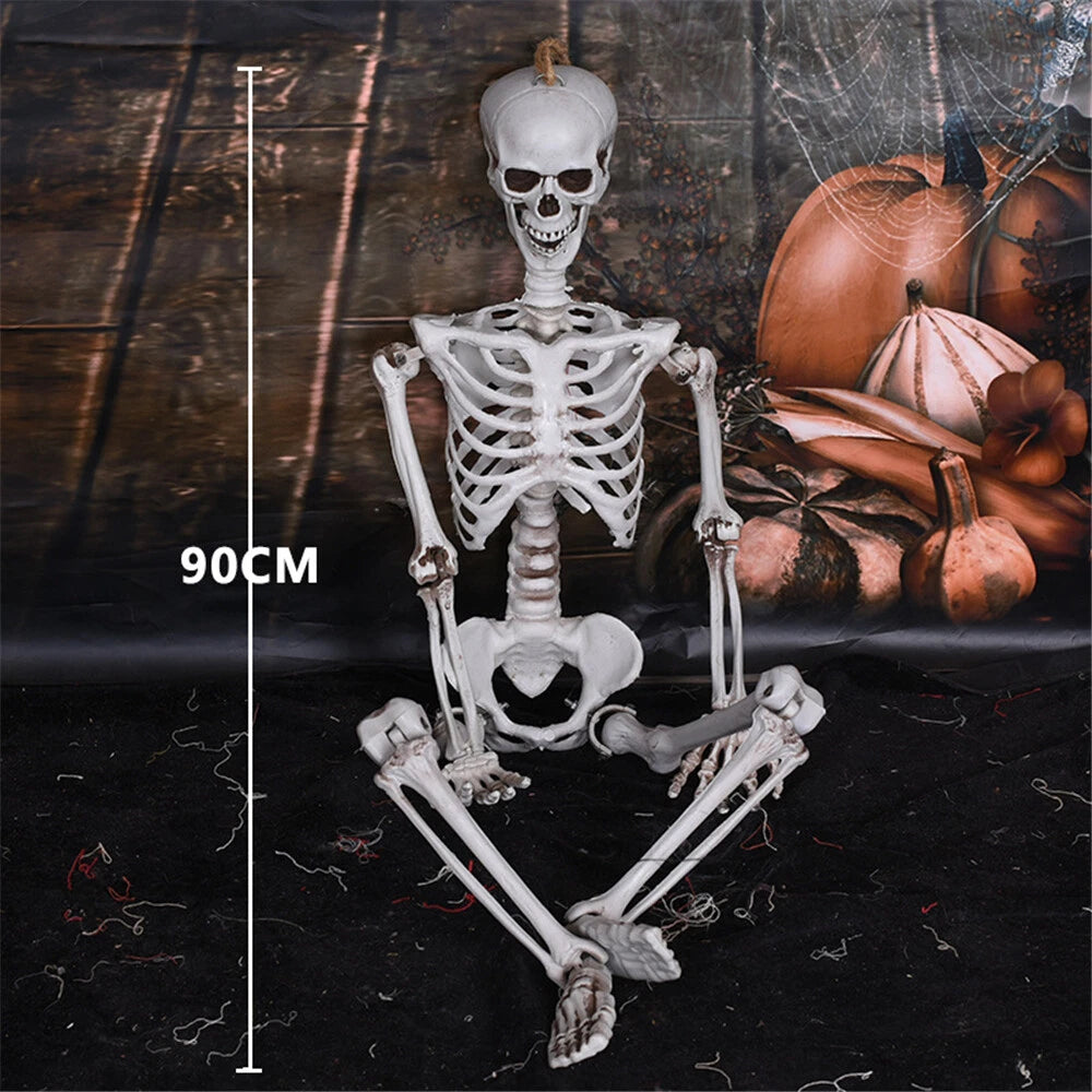 90Cm Halloween Poseable Skeleton Full Life Size Human Skeleton Decoration Props
