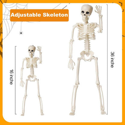 2 Pack Halloween Skeletons Decorations, 36" & 16" Plastic Poseable Skeleton with Realistic Movable Joints, Scary Spooky Skull Decor for Halloween Haunted Houses, Lawn, Graveyard (White)