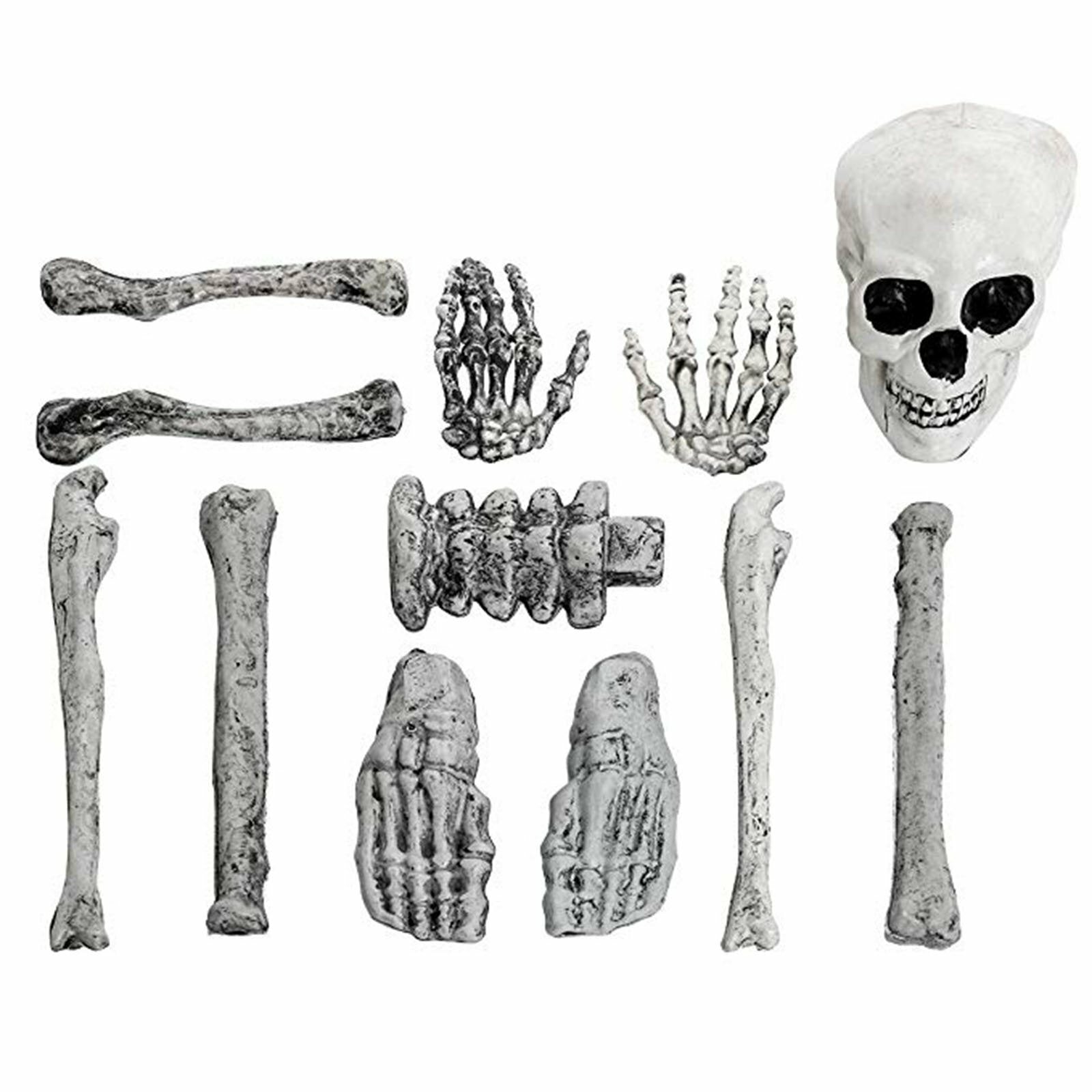 12PCS Halloween Skeleton Body Part Prop Bones Skull Graveyard Outdoor Decoration