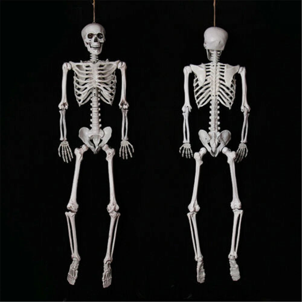 90Cm Halloween Poseable Skeleton Full Life Size Human Skeleton Decoration Props