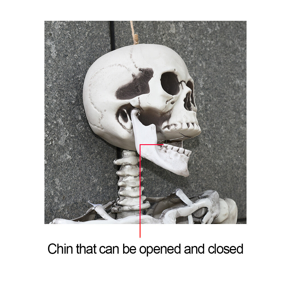 170Cm Halloween Poseable Skeleton Full Life Size Human Skeleton Decoration Prop