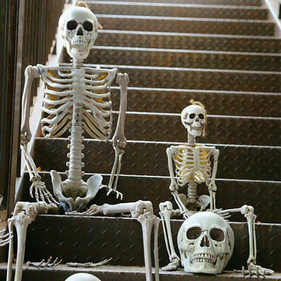 170Cm Halloween Poseable Skeleton Full Life Size Human Skeleton Decoration Prop